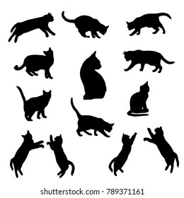 Set vector silhouettes of the cat, different poses, standing, jumping and sitting,  black color, isolated on white background