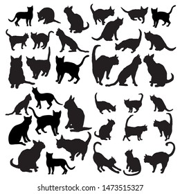 Set vector silhouettes of the cat isolated on white background
