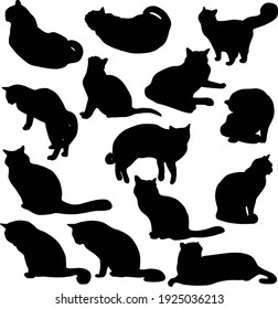 Set of vector silhouettes of cats in different poses. Black icons of cats isolated on white background