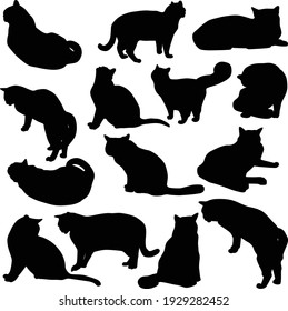 Set of vector silhouettes of cats in different poses. Black icons of cats isolated on white