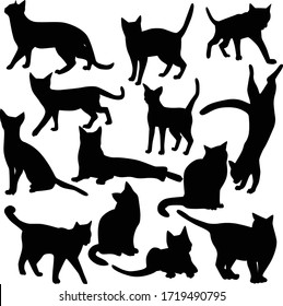 Set of vector silhouettes of cats in various poses isolated on a white background. Collection of black icons of domestic cats