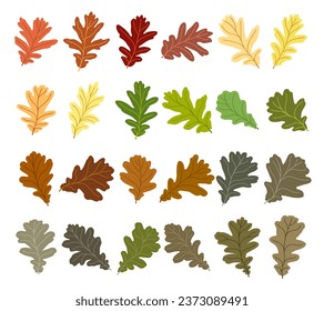 Set of vector silhouettes of colored oak leaves