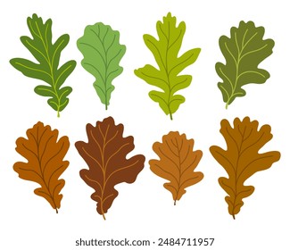 Set of vector silhouettes of colored oak leaves