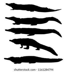 Set of vector silhouettes of crocodiles in different poses isolated on white background