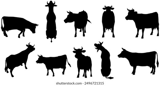 Conjunto de siluetas de Vector de vacas lecheras desde varios ángulos