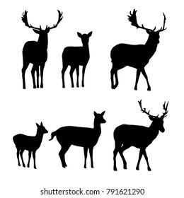 Set of vector silhouettes of deer and fallow deer with a fawn isolated on white background