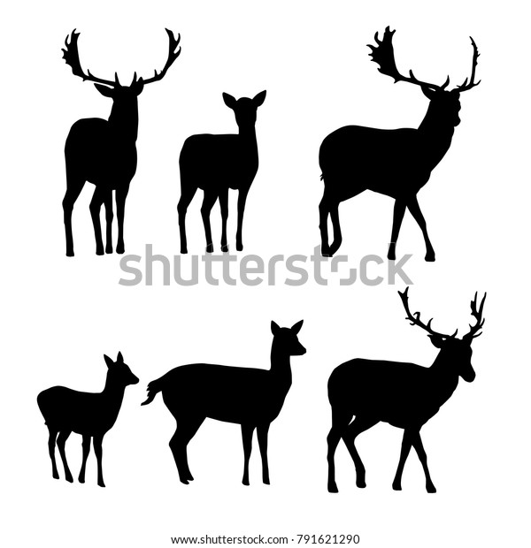 白い背景に鹿と子鹿のベクター画像シルエットと休耕鹿のセット のベクター画像素材 ロイヤリティフリー