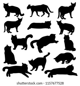 Set of vector silhouettes of different cats isolated on white background