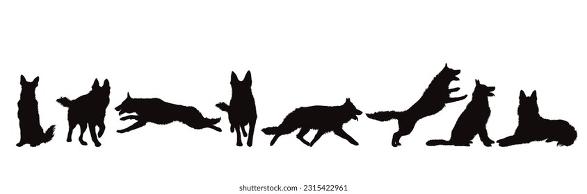 Set of vector silhouettes of different dogs on white background. Symbol of dog and pet.