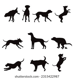 Set of vector silhouettes of different dogs on white background. Symbol of dog and pet.