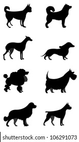 Set of Vector Silhouettes Dogs Isolated on White Background