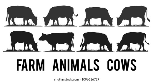 Set of vector silhouettes of farm animals cows isolated on white.