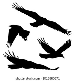 Set of vector silhouettes of flying birds, isolated on white background