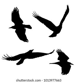 Set of vector silhouettes of flying birds, isolated on white background