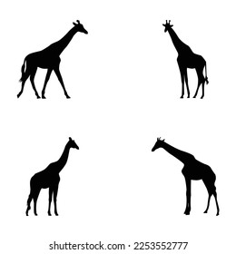 Set of vector silhouettes of giraffes