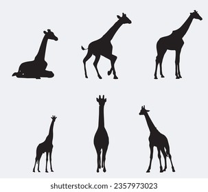 Set of vector silhouettes of giraffes