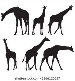 Set of vector silhouettes of giraffes