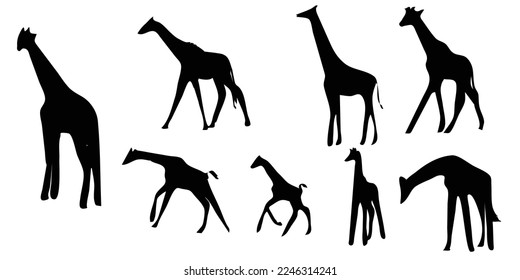 Set of vector silhouettes of giraffes. giraffe on isolated background vector graphics Black and white carved giraffe. Giraffe.