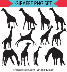 Set of vector silhouettes of giraffes. giraffe on isolated background vector graphics Black and white carved giraffe. Giraffe