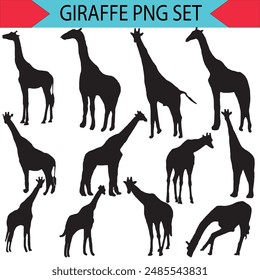 Set of vector silhouettes of giraffes. giraffe on isolated background vector graphics Black and white carved giraffe. Giraffe