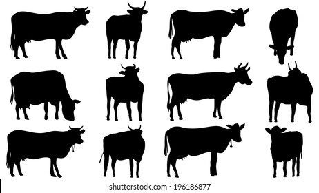 Set Vector Silhouettes Grazing Cows Bulls Stock Vector (Royalty Free ...