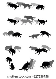 Set vector silhouettes group of dogs (German shepherd dog) black and grey colors and cut out on white background. Relationship of dogs