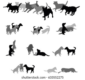 Set vector silhouettes group of dogs (Jack Russel terrier) black and grey colors and cut out on white background. Relationship of dogs
