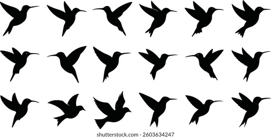 Set of vector silhouettes of humming birds