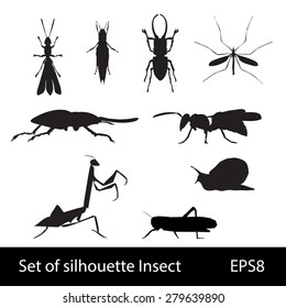 Set of vector silhouettes of insects