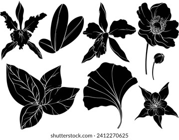 Satz von Vektorsilhouetten aus Dschungelblättern und exotischen Blumen. Orchidee Blumen und tropische Blätter