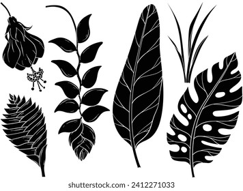 Conjunto de siluetas vectoriales de hojas de selva y flores exóticas