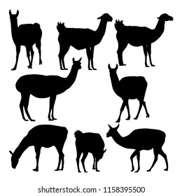 Set of vector silhouettes of lamas isolated on white background.