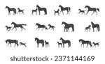 Set of vector silhouettes, mares with their foals