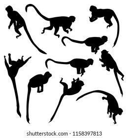 Set of vector silhouettes of monkeys saimiri sitting on branches in different poses isolated on white background