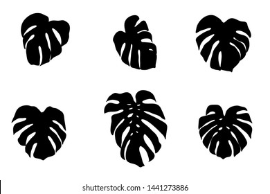 Set of vector silhouettes of monstera leaves