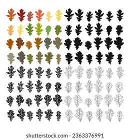 Set of vector silhouettes oak leaves