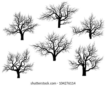 Set of vector silhouettes of oak trees without leaves during the winter or spring period.