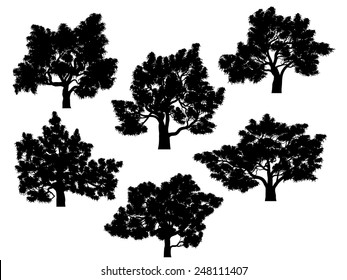 Set of vector silhouettes of oak trees with leaves.