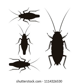 Set Of Vector Silhouettes Of Oriental And German Cockroaches. Illustration Isolated On White Background