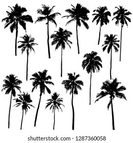 Set of vector silhouettes of palm trees of different shapes isolated on white background for your design
