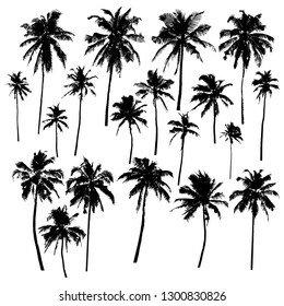 Set of vector silhouettes of palm trees of different shapes isolated on white background for your design