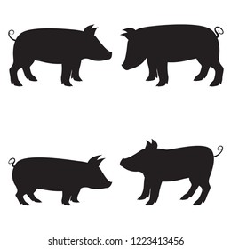 Set of vector silhouettes of a pig. To choose a pig. The isolated vector.