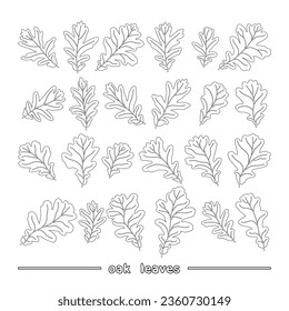 Set of vector silhouettes of a realistic shape of oak leaves