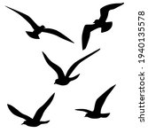 Set of vector silhouettes of seagull in flight, black color, isolated on white background