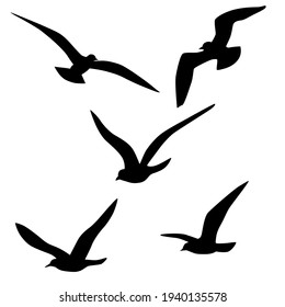 Set of vector silhouettes of seagull in flight, black color, isolated on white background