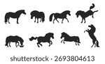 A set of vector silhouettes with Shetland ponies