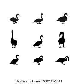 Set of vector silhouettes of swimming swans vector design.Vector set of decorative birds.Swan with nestling. Swan silhouette.A wonderful collection of animals for designs.isolated on white background.