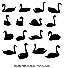 Set of vector silhouettes of swimming swans