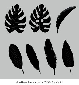 Set vector silhouettes tropical leaves. Monochrome jungle exotic leaf philodendron, areca palm, royal fern, banana leaf. Illustration.eps