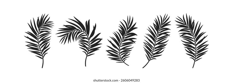 Set of vector silhouettes tropical palm leaves. Exotic jungle leaf isolated on white background.